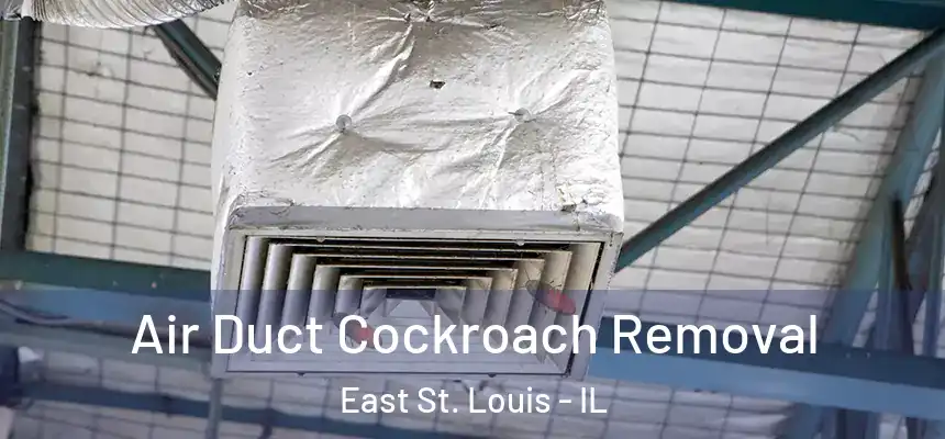 Air Duct Cockroach Removal East St. Louis - IL