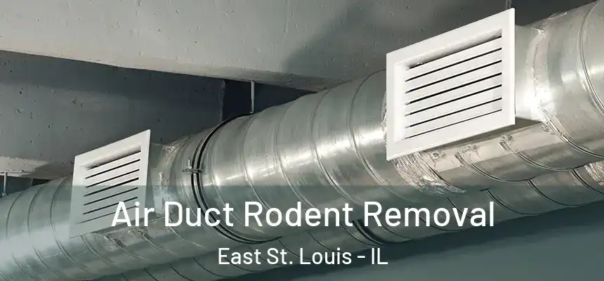 Air Duct Rodent Removal East St. Louis - IL