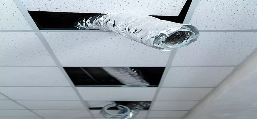 Our Air Duct Pet Hair Removal Services in East St. Louis, IL