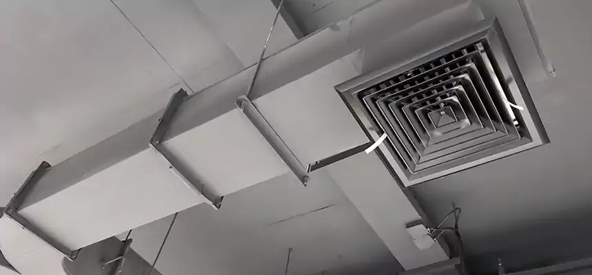 Restorative Allergy Relief Vent Cleaning – Coil, Blower & Housing Detail in East St. Louis