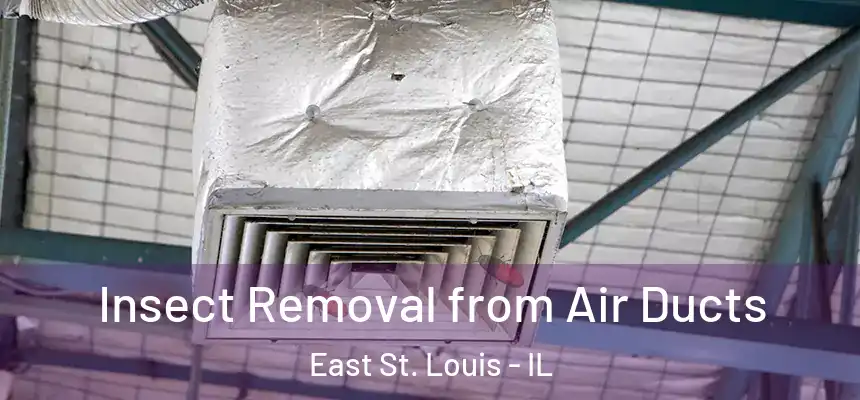 Insect Removal from Air Ducts East St. Louis - IL