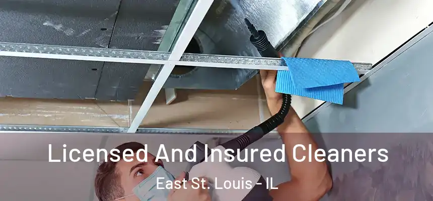  Licensed And Insured Cleaners East St. Louis - IL