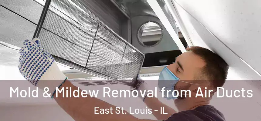 Mold & Mildew Removal from Air Ducts East St. Louis - IL