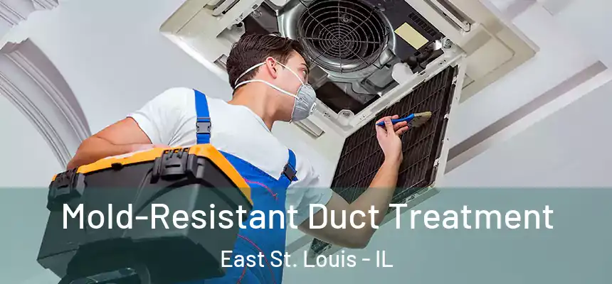Mold-Resistant Duct Treatment East St. Louis - IL