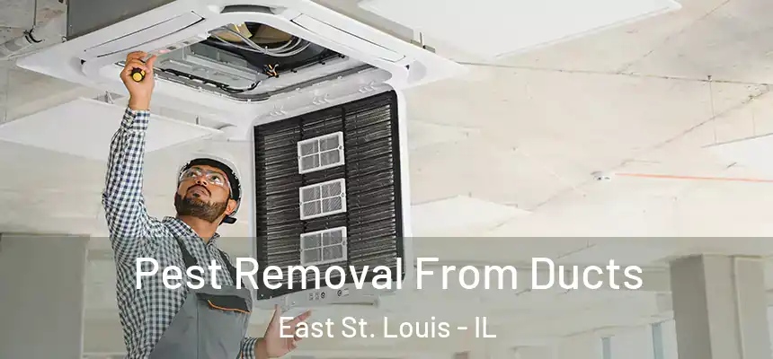  Pest Removal From Ducts East St. Louis - IL