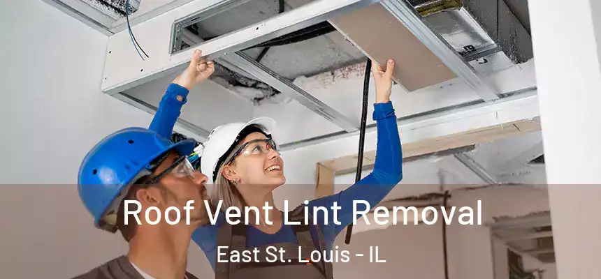  Roof Vent Lint Removal East St. Louis - IL