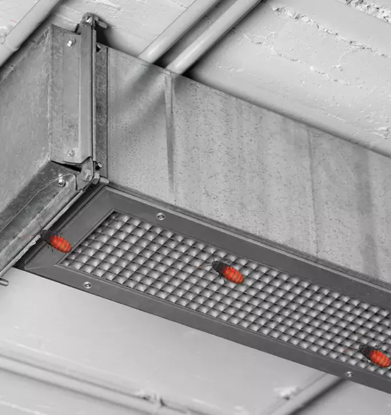 About Air Duct Cockroach Removal in East St. Louis, IL