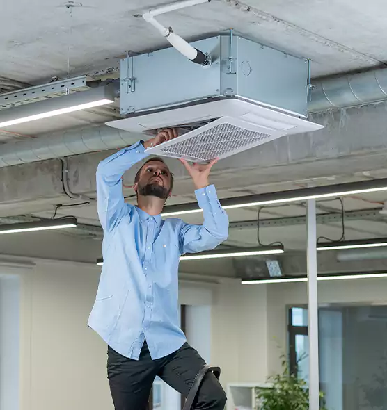 Advanced Rodent Droppings In Vents in East St. Louis, IL