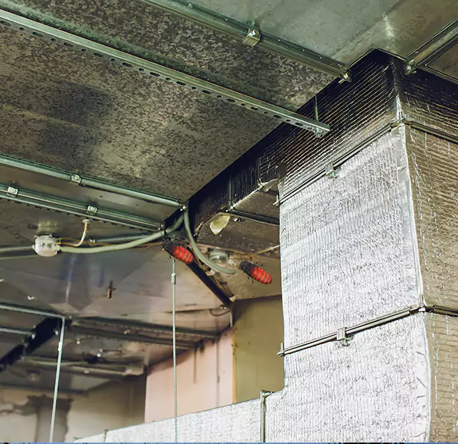 Why Homeowners & Businesses Trust Us in East St. Louis, IL?