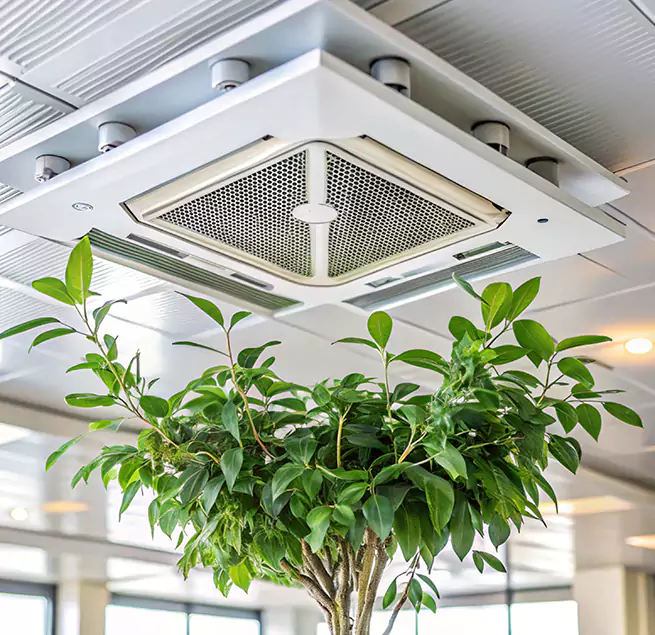 Why Homeowners & Businesses Trust Us in East St. Louis, IL?