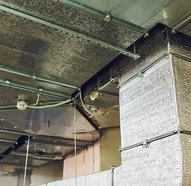 Why Homeowners & Businesses Trust Us in East St. Louis, IL?